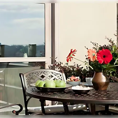 Baylo 伊斯坦布尔